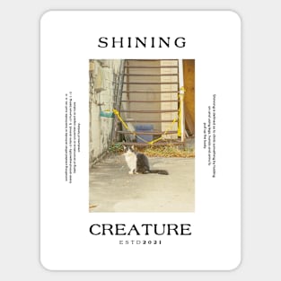 Shining Creature Sticker